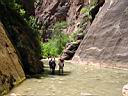 053_zion.jpg